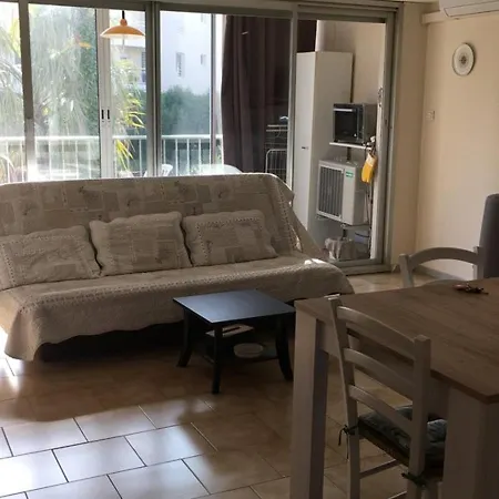 T1 Climatise Au Port De Avec Veranda Meublee, Proche Plages Et Commerces - Fr-1-335-186 Apartment